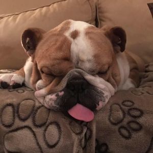 Meet your Posher, Shawn